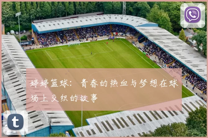 婷婷篮球：青春的热血与梦想在球场上交织的故事