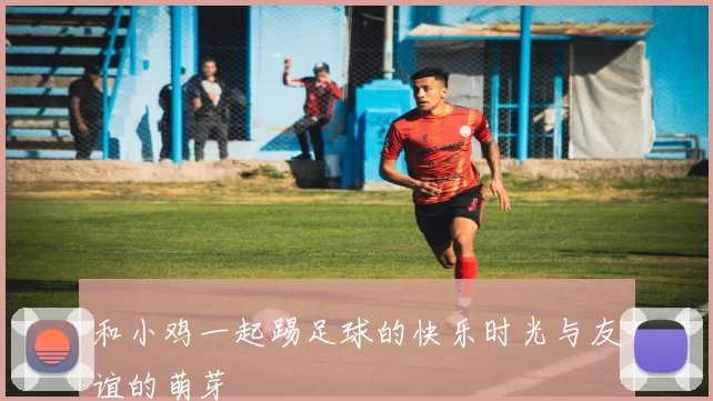 和小鸡一起踢足球的快乐时光与友谊的萌芽