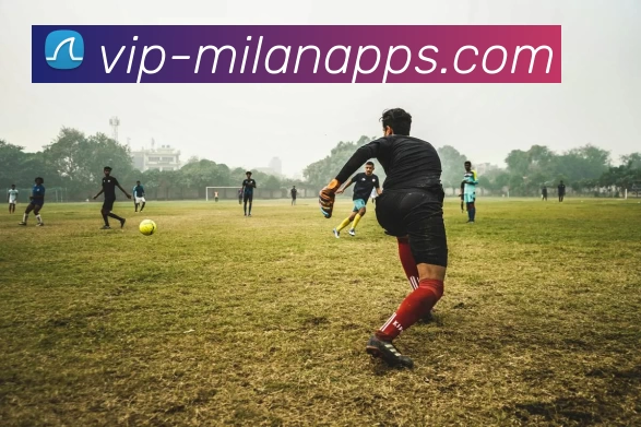 App Interface Preview